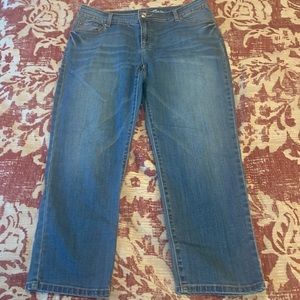 I.N.C. Denim Skinny Leg Regular Fit Crop (#119)